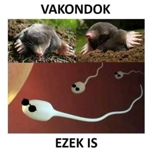 Pénteki agyzsibbasztó