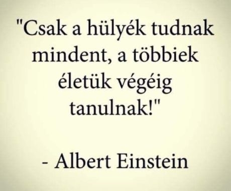 Napi bölcs