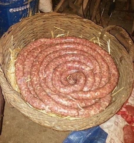 Íme egy székely királykobra