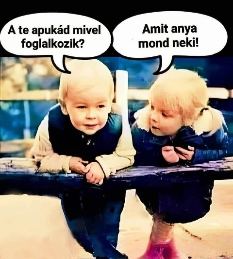 Abban hiba nem lehet