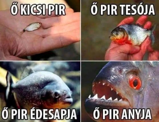 Hétvégi pihentető