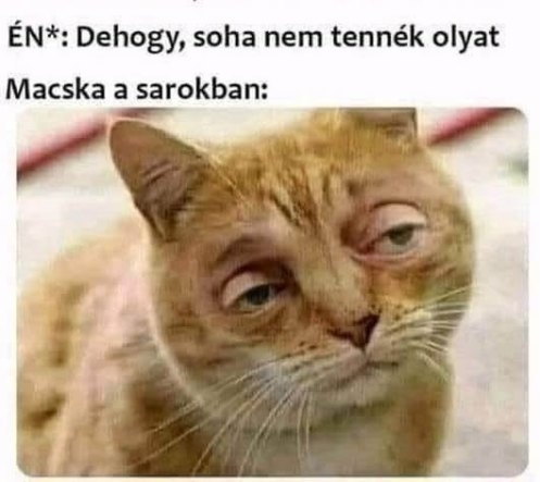 Anyám - Fiam, füveztél a szobádban?