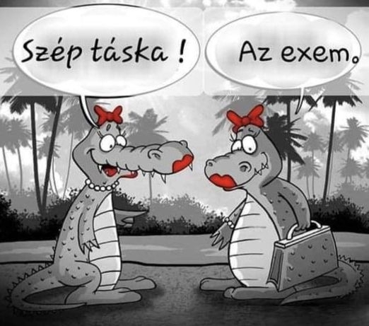 Napi bizarr