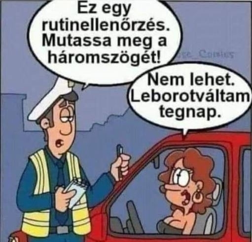 Félreértette a hölgy a kérést