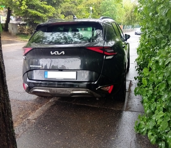 Napi parasztparkoló