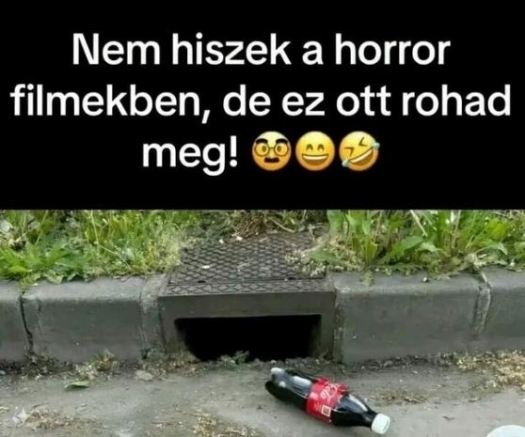Te mernél kockáztatni?