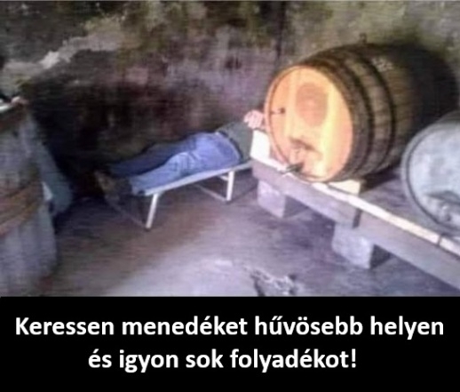 Kerülje a napsugárzást és a magas hőmérsékletet