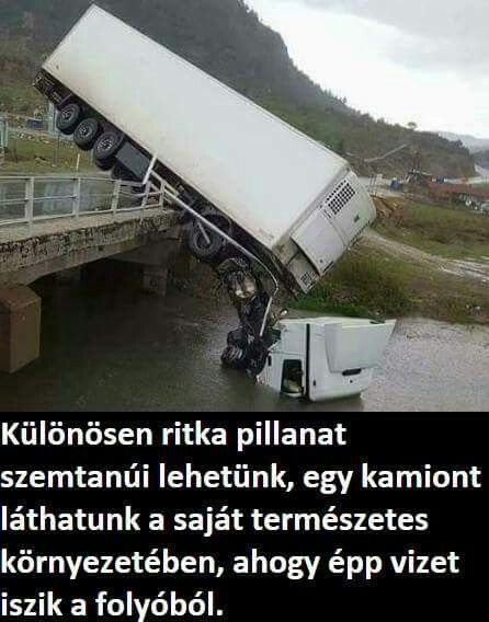 Napi gonosz