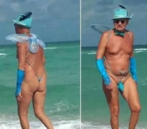 Szitakötőt fotóztak a tengerparton