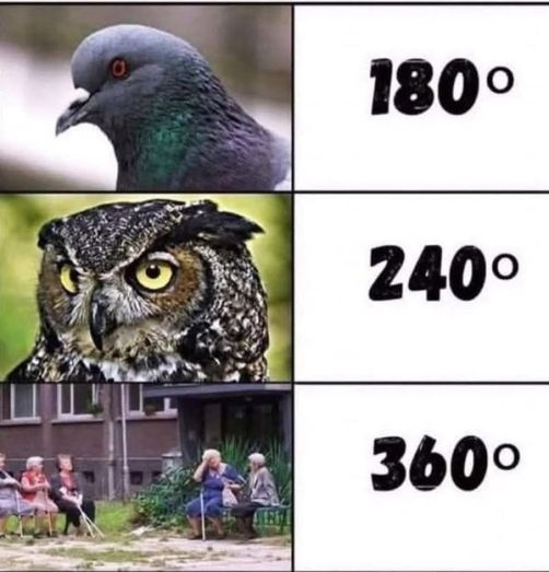 Látószög