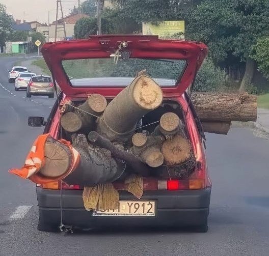 Emberünk megkezdte a begyűjtést