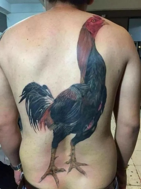 Egy újabb kakasos tetkó