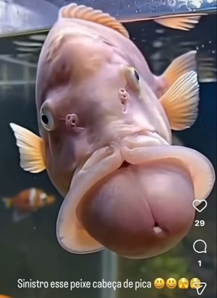 Neked is az jutott eszedbe elsőre? 🙂