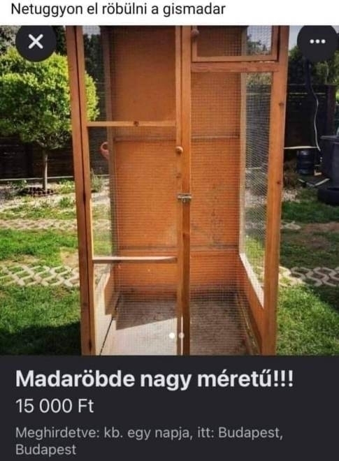 A nap hirdetése