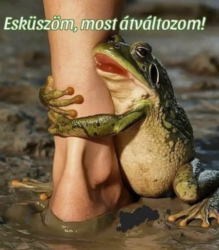 Csak még egy csókot!
