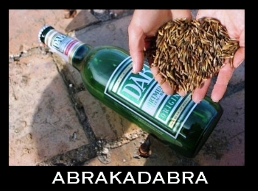 Hét eleji agyzsibbasztó