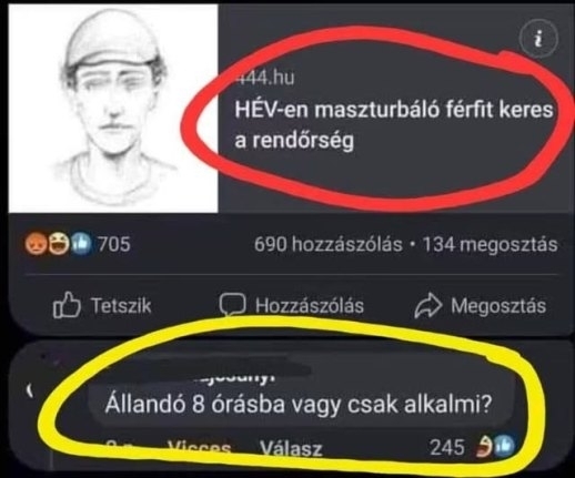 Napi hülye