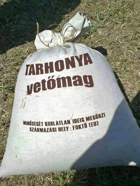 Ezt boltban ne keresd, mert nem létezik