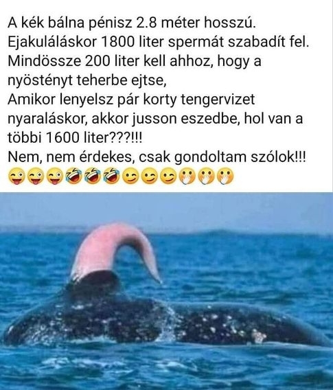 Nyeltél le tengervizet nyáron?