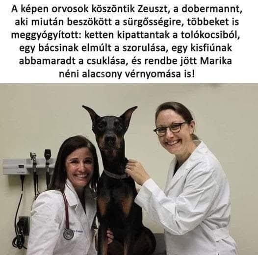 Zeusz csodát tett
