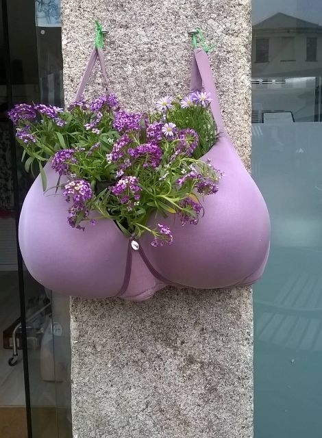 Nem mindenki szeret virágtartóra költeni