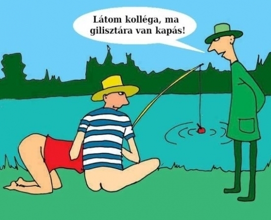 Poénkodik a halőr