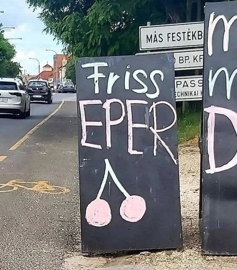 Érdekes nyári emlék