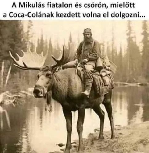 Mindenki számára terem babér, csak akarni kell